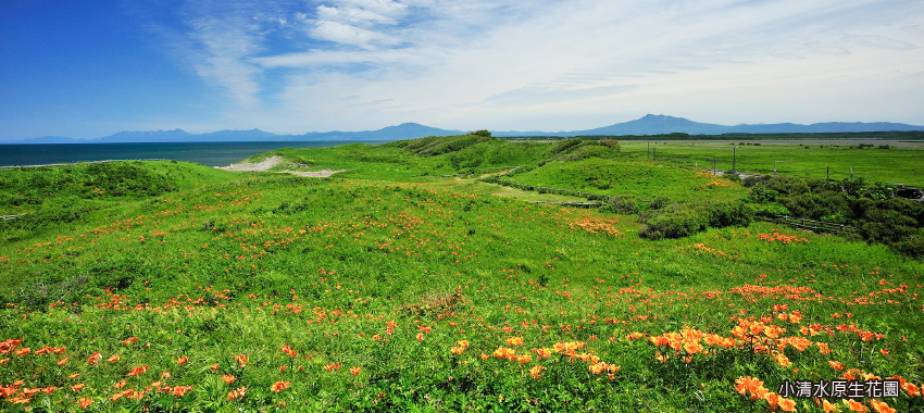 小清水原生花園北海道遺產